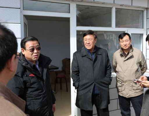 ��è�쵼����ָ��פ��������